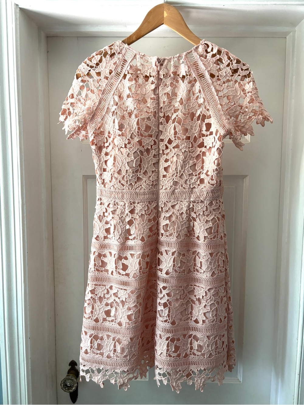 Eliza J Lace Sheath Mini Dress Crochet Lace Overlay Blush Pink Size 4P - Picture 9 of 13